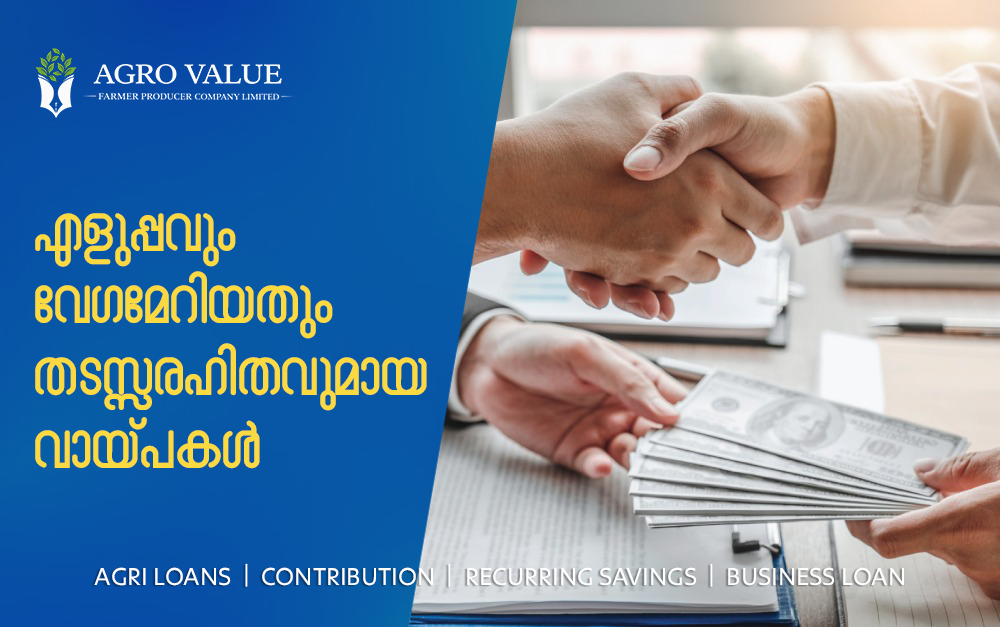 Longtail boats at Phi Phi