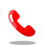 Phone Icon